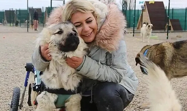 Hasta köpekleri Ankara'ya getirdiği iddiasıyla tutuklanan Buket Özgünlü hakkında tahliye kararı