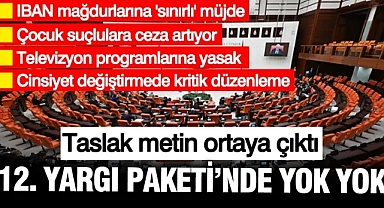 12. yargı paketinde yok yok: IBAN mağdurları, çocuk suçluya ceza, cinsiyet değiştirme...
